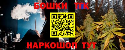 крисы Можга