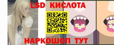 крисы Можга