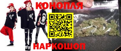 крисы Можга