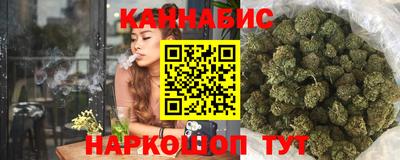 Альфа ПВП Моздок