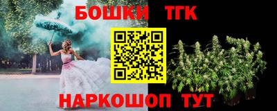 Альфа ПВП Моздок