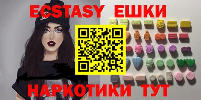 крисы Можга