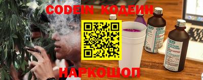 крисы Можга