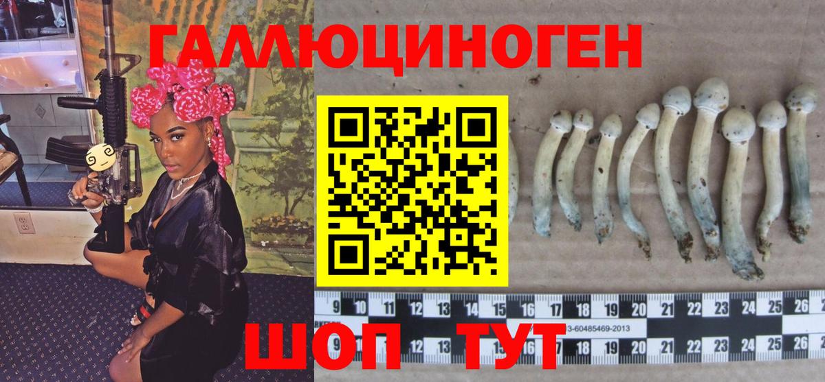 Псилоцибиновые грибы Cubensis Тамбов