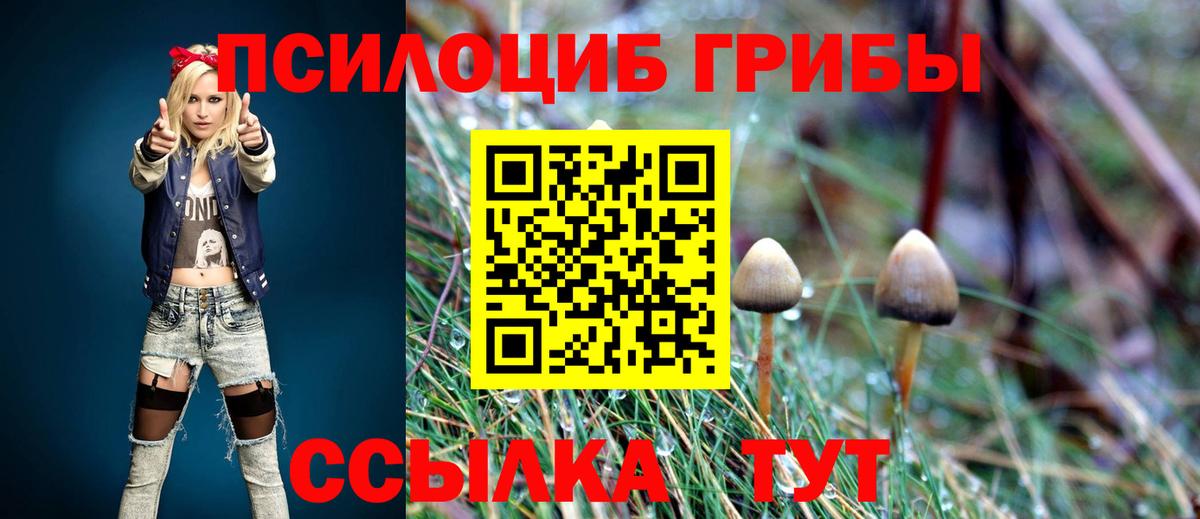 Тамбов  Галлюциногенные грибы ЛСД  Вход с VPN 